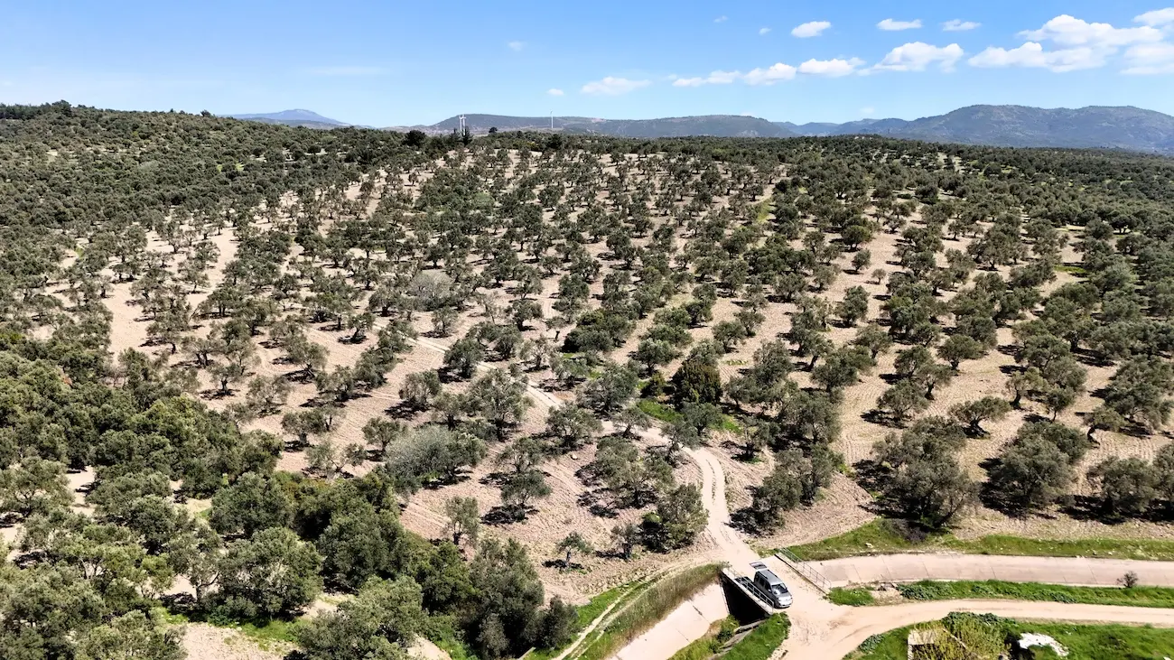 Ayvalik land